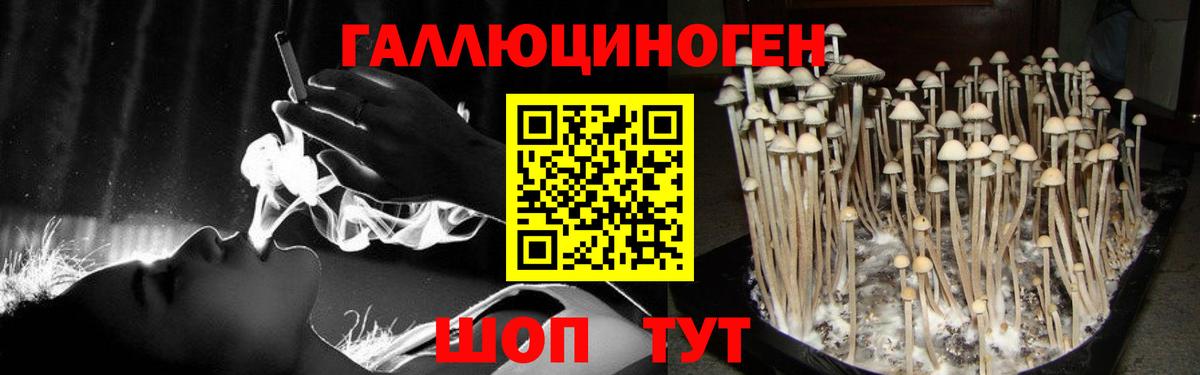 цена наркотик  Псилоцибиновые грибы Magic Shrooms  Вход с VPN  Серпухов 